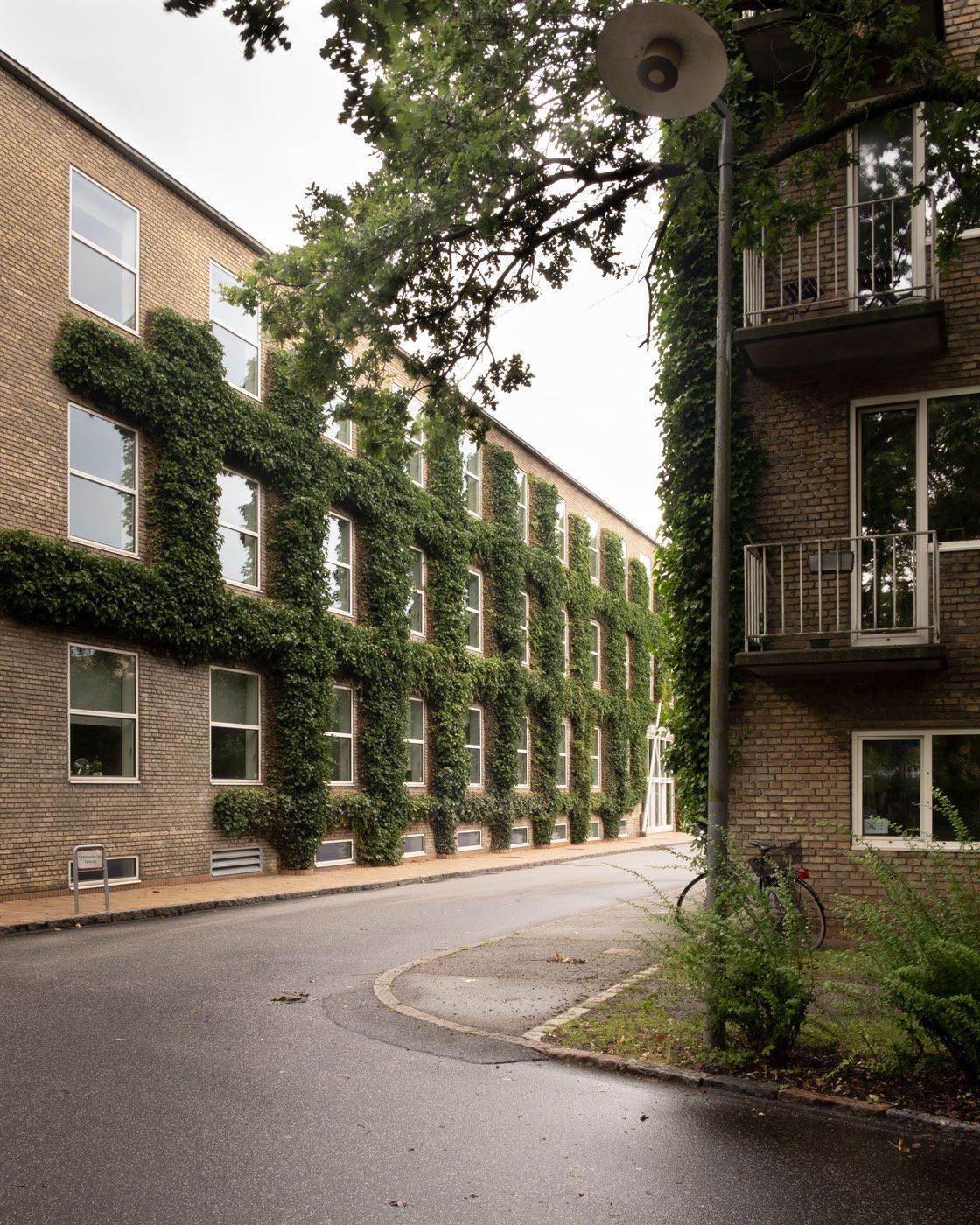 Jan Konings Aarhus University Campus Street